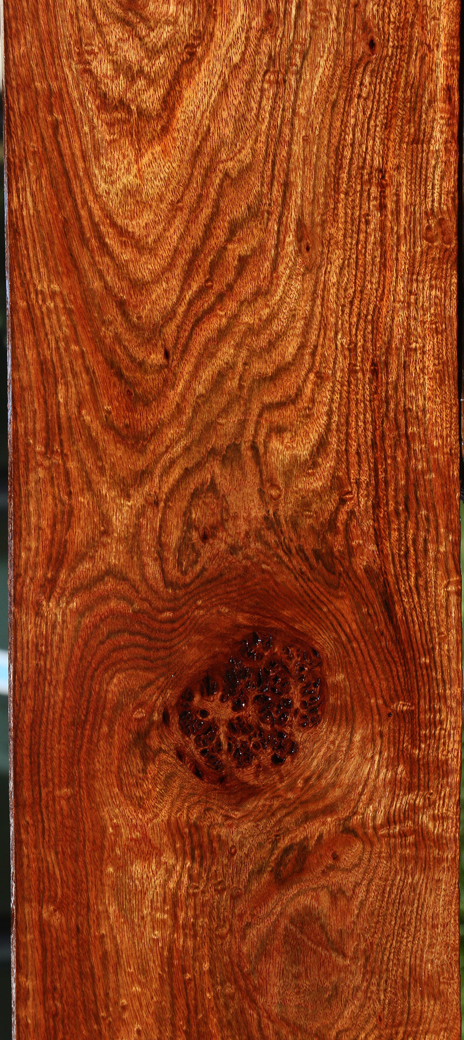 Exhibition Chechen Lumber
