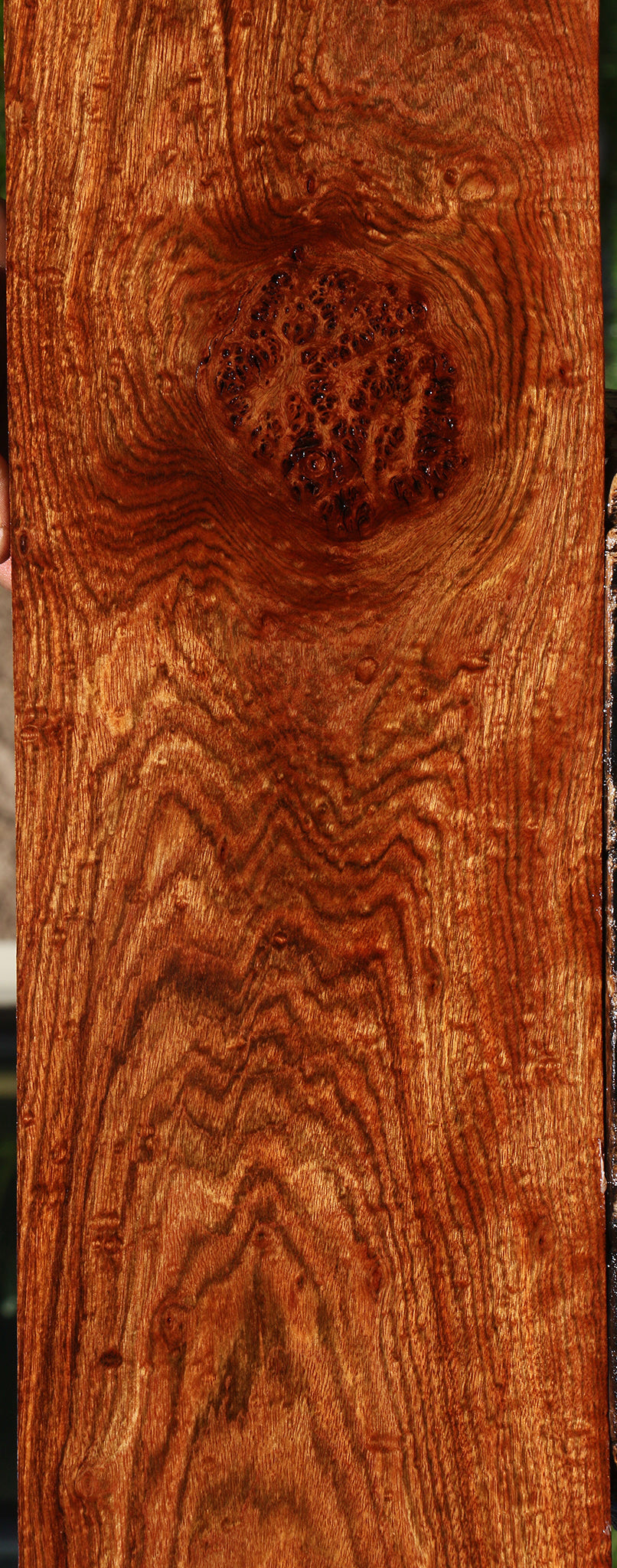 Exhibition Chechen Lumber