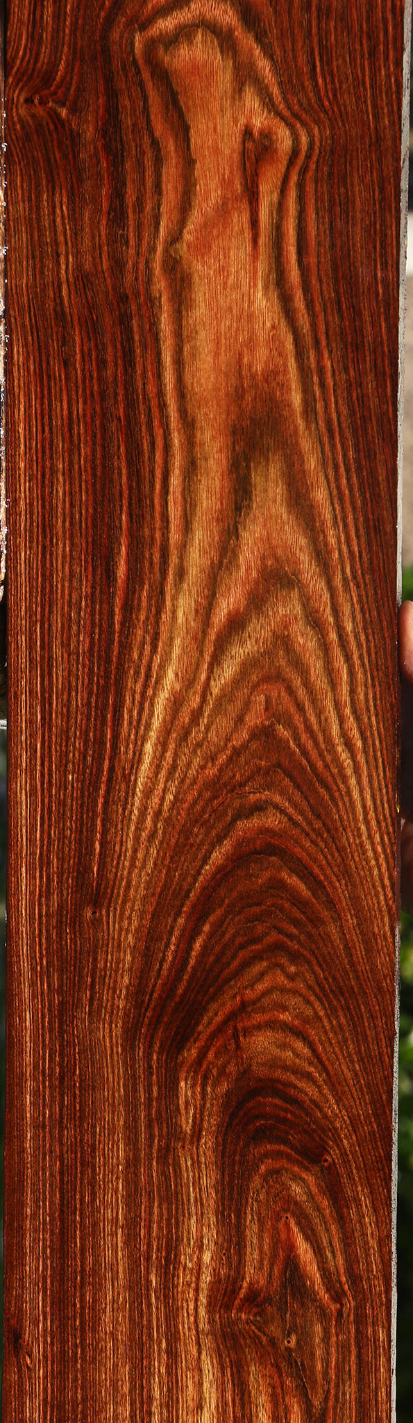 Figured Chechen Lumber