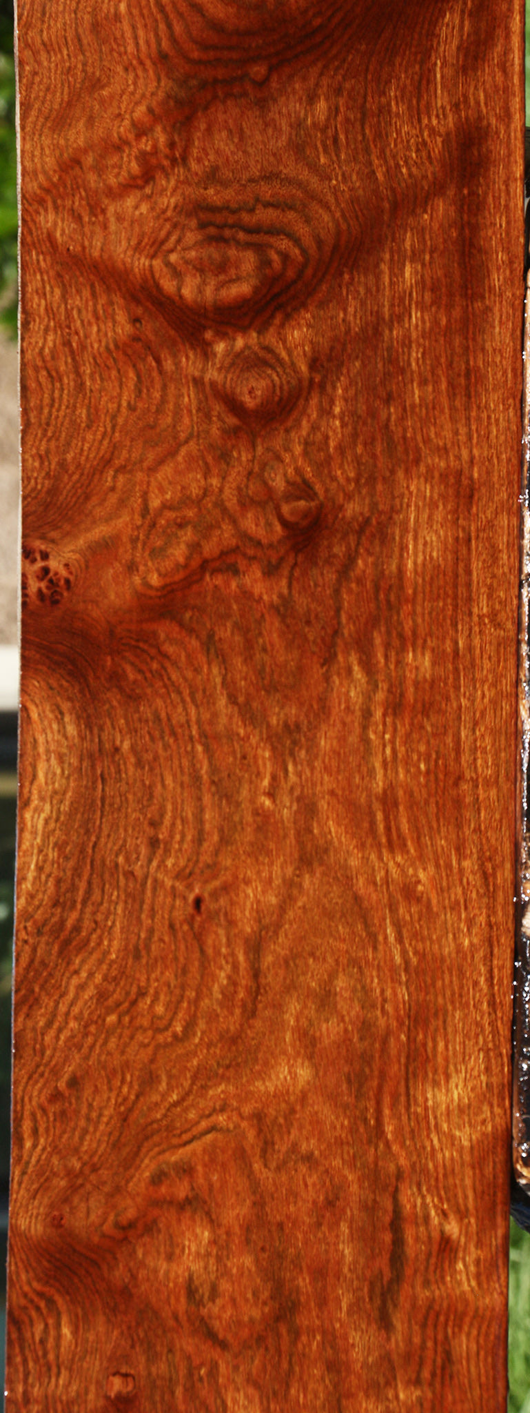 Extra Fancy Chechen Lumber