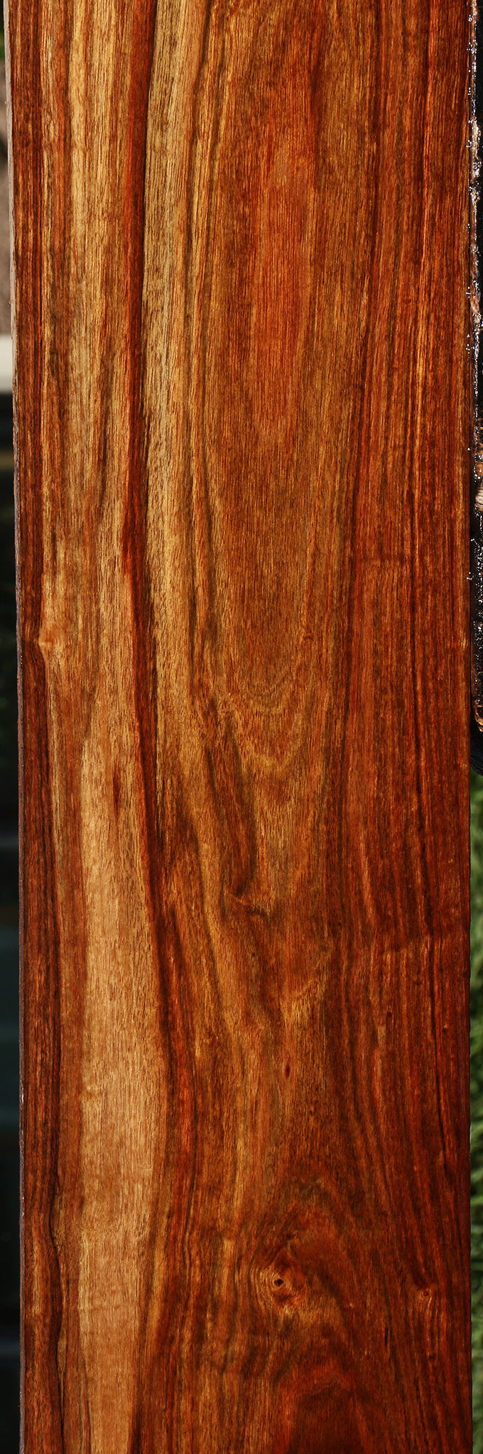 Figured Chechen Micro Lumber