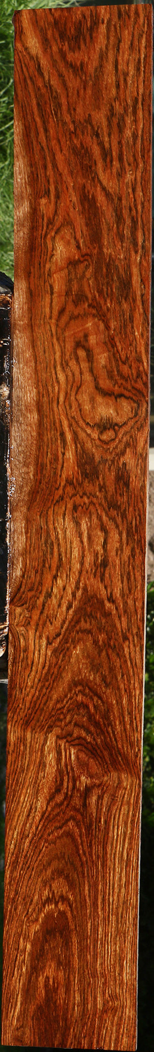 Extra Fancy Chechen Lumber