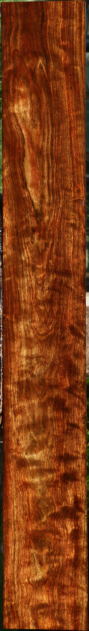 Extra Fancy Chechen Lumber