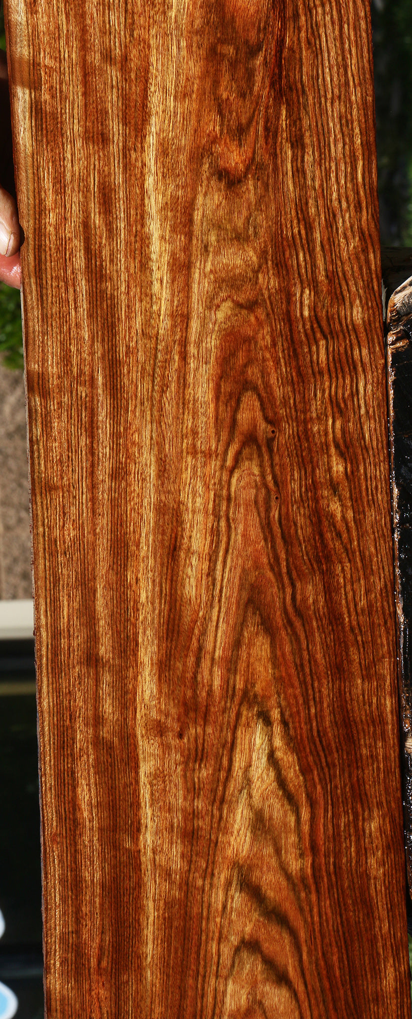 Figured Chechen Micro Lumber