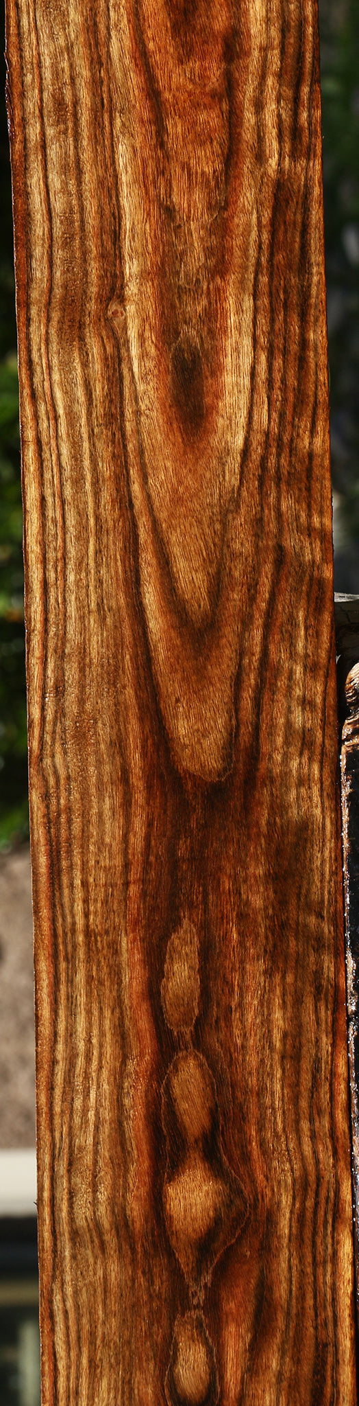 Figured Chechen Lumber