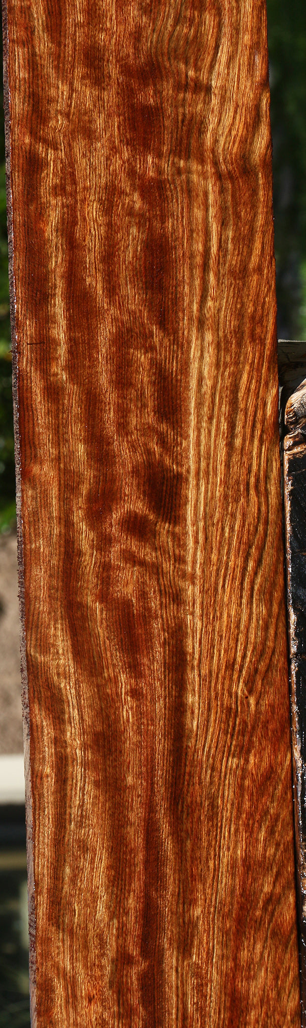 Extra Fancy Chechen Lumber