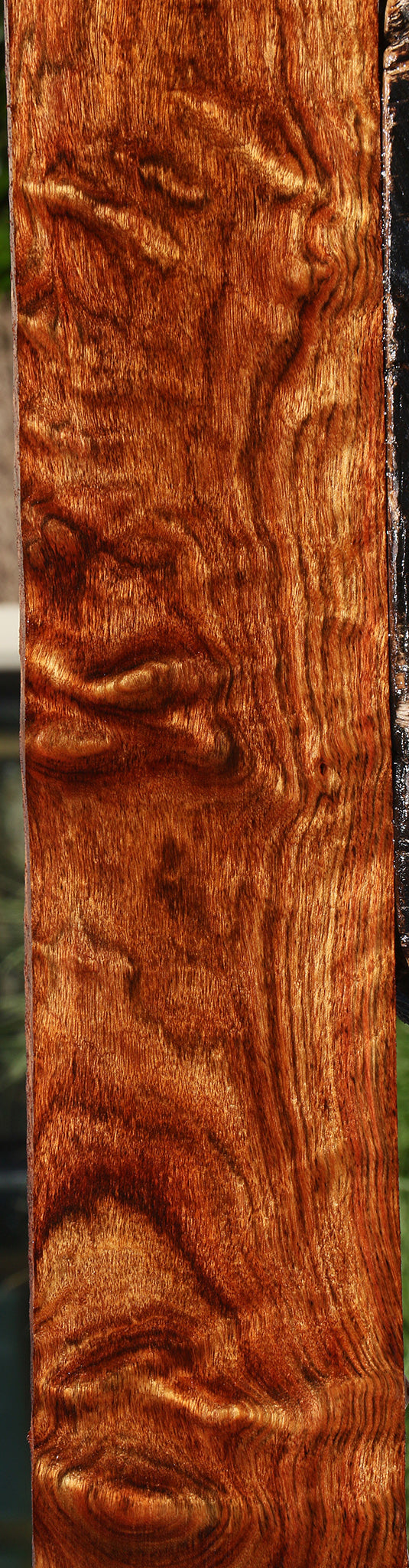 Extra Fancy Chechen Lumber