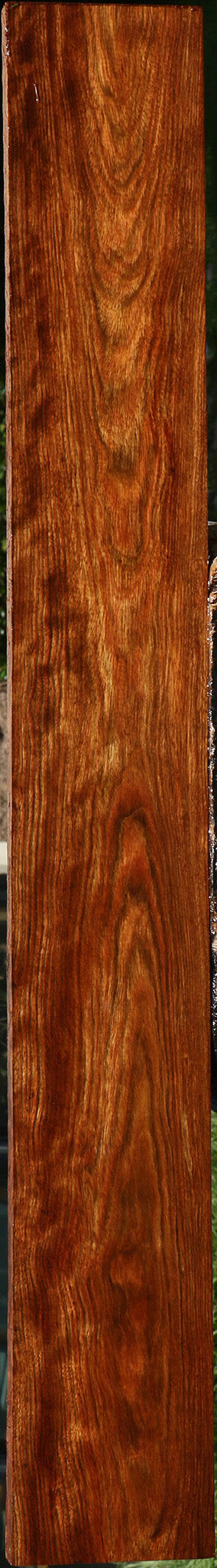 Figured Chechen Lumber