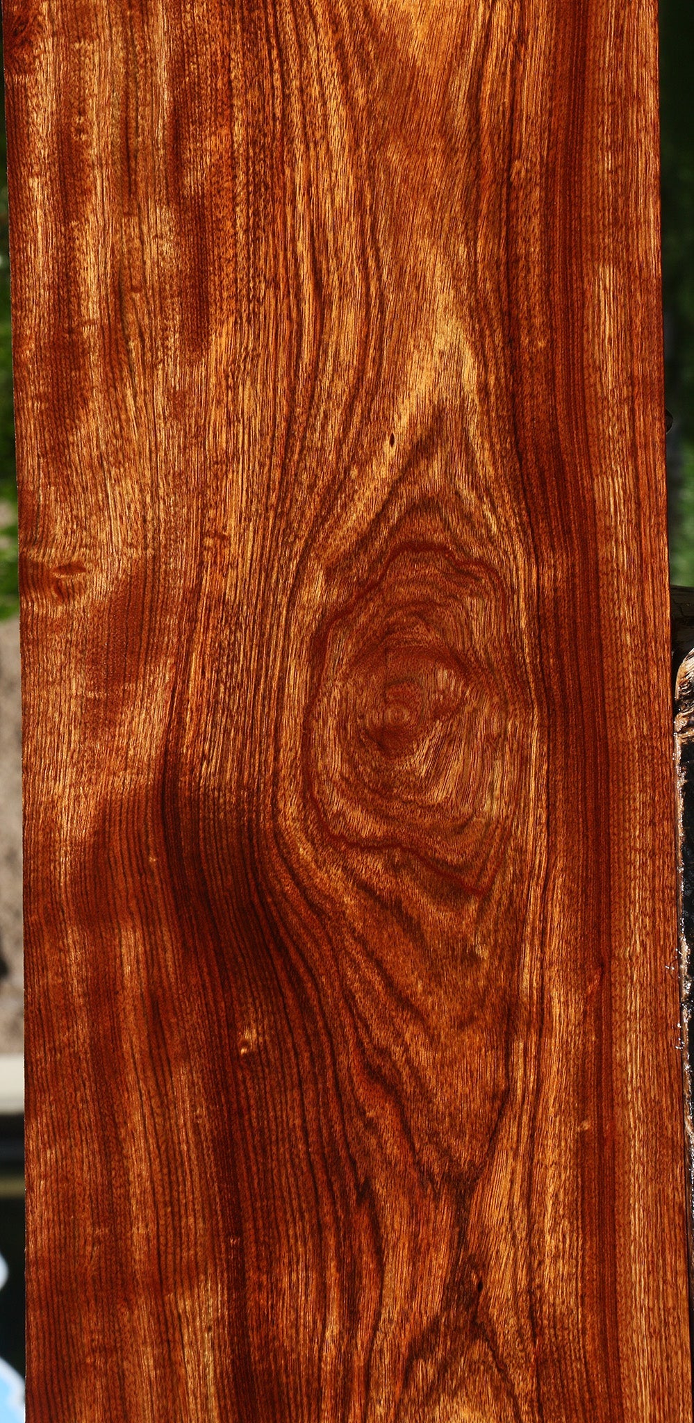 Figured Chechen Lumber