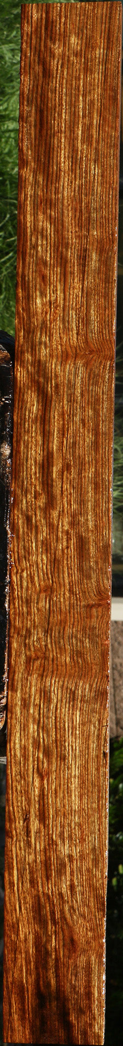 Figured Chechen Lumber