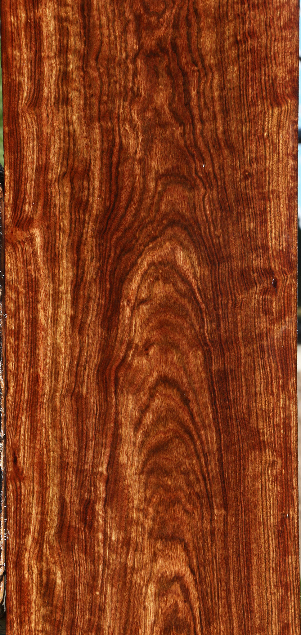 Extra Fancy Chechen Micro Lumber