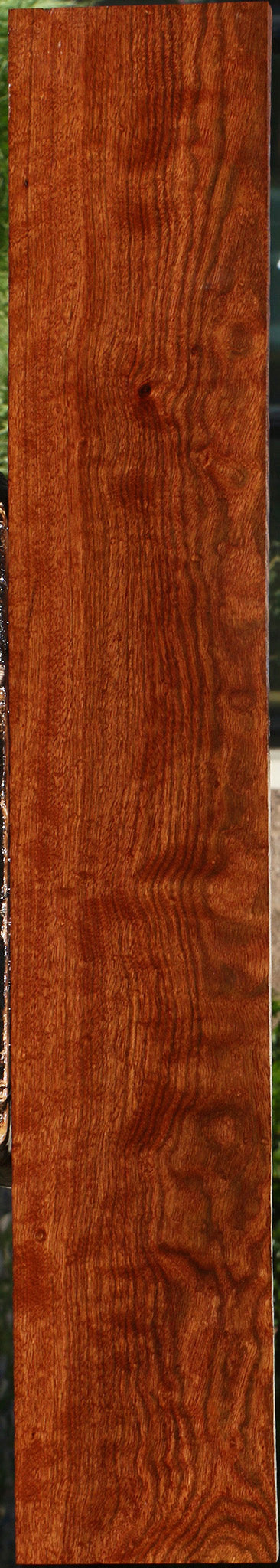 Figured Chechen Lumber