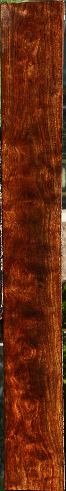 Extra Fancy Chechen Lumber