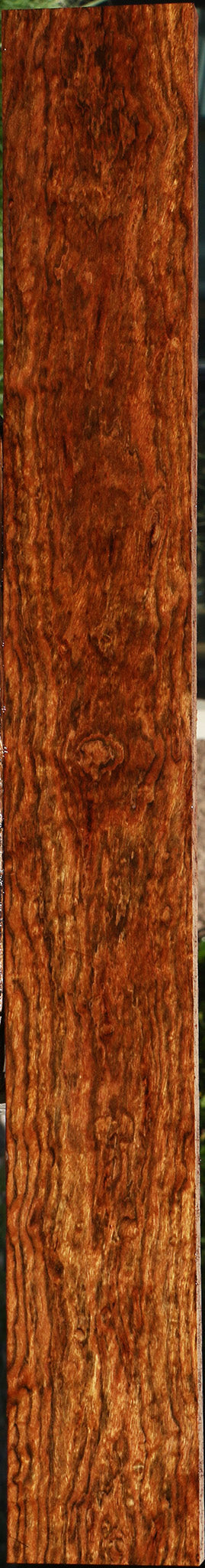 Exhibition Chechen Lumber