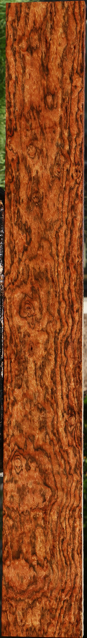 Exhibition Chechen Lumber