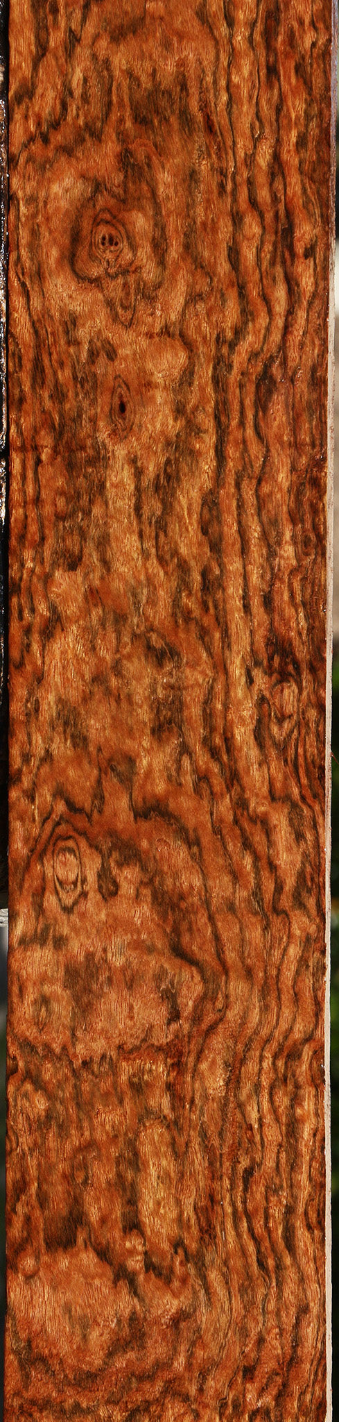 Exhibition Chechen Lumber