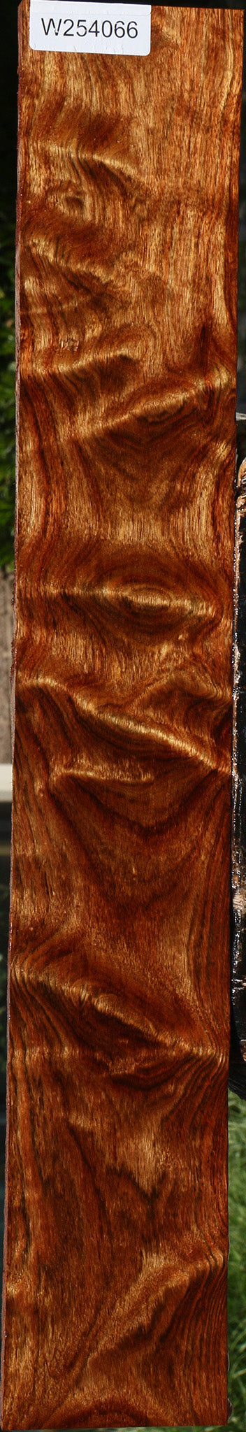 Extra Fancy Chechen Lumber
