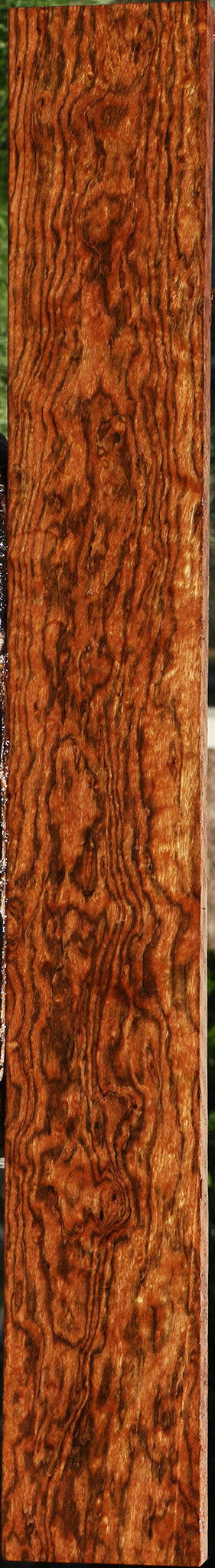 Exhibition Chechen Lumber