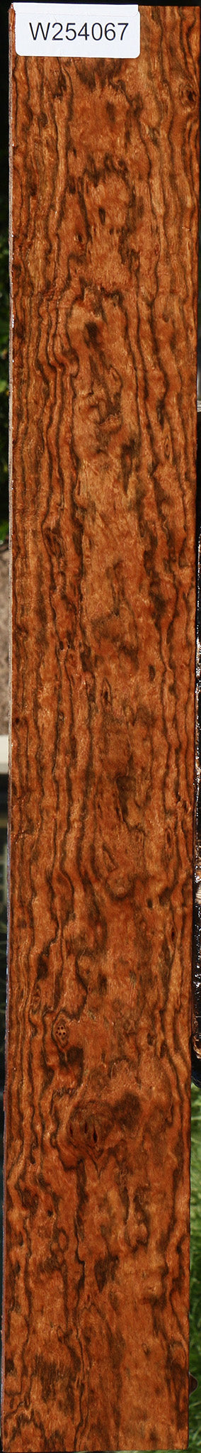 Exhibition Chechen Lumber