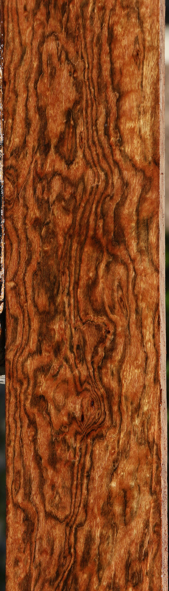 Exhibition Chechen Lumber