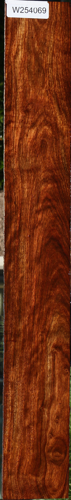 Chechen Lumber