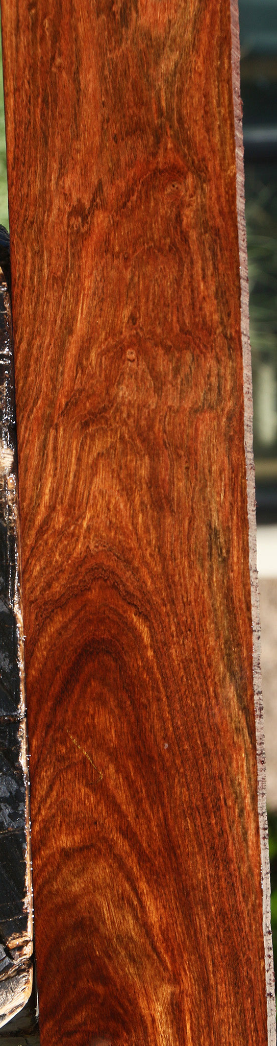Chechen Lumber