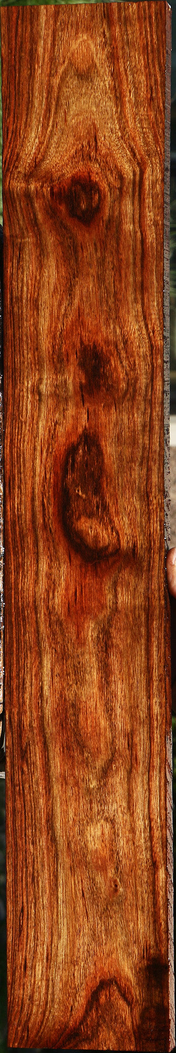 Chechen Lumber