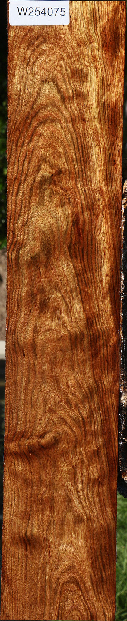Extra Fancy Chechen Lumber