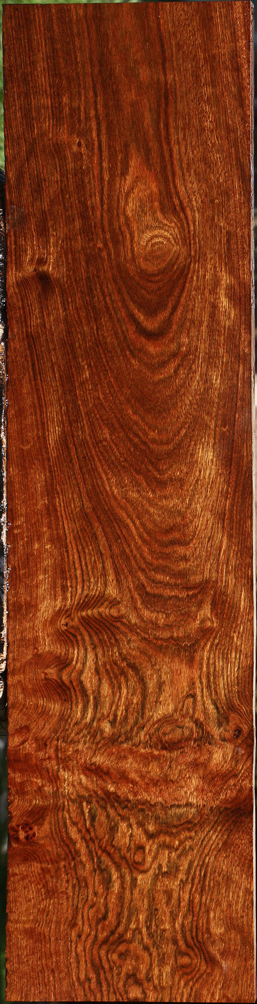 Figured Chechen Lumber