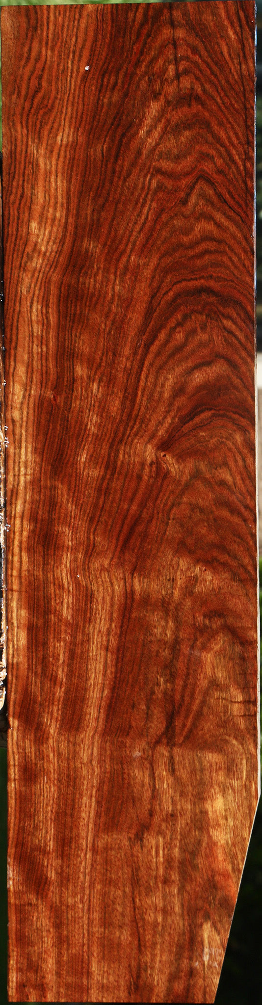 Extra Fancy Chechen Lumber