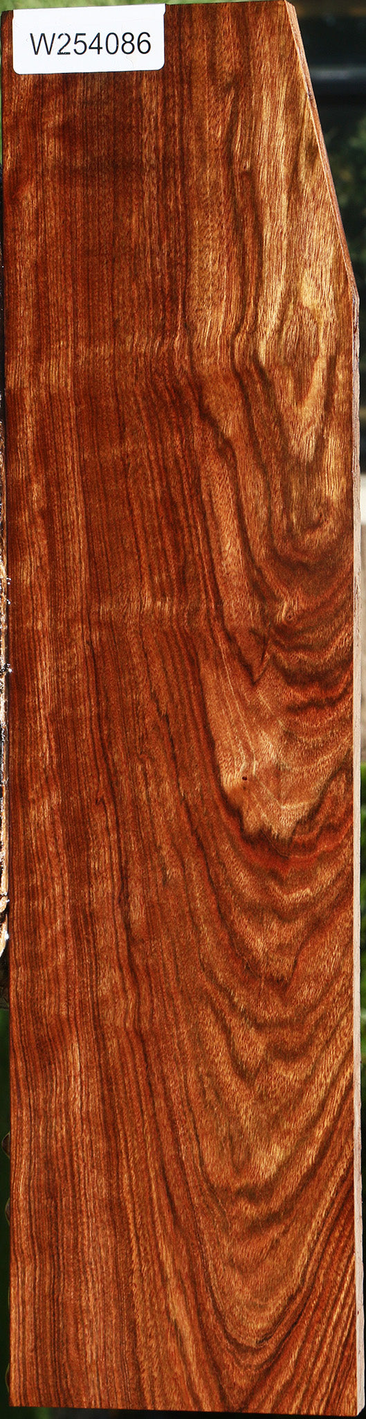 Extra Fancy Chechen Lumber