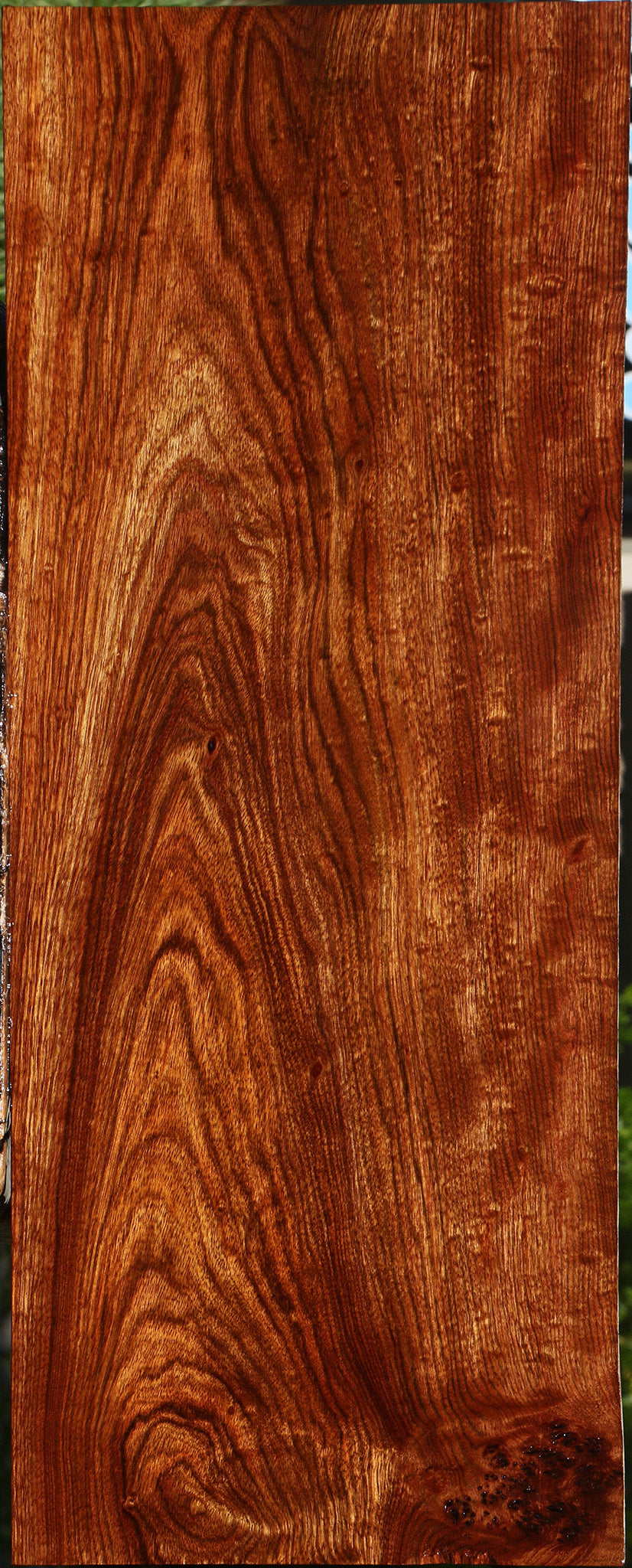 Extra Fancy Chechen Lumber
