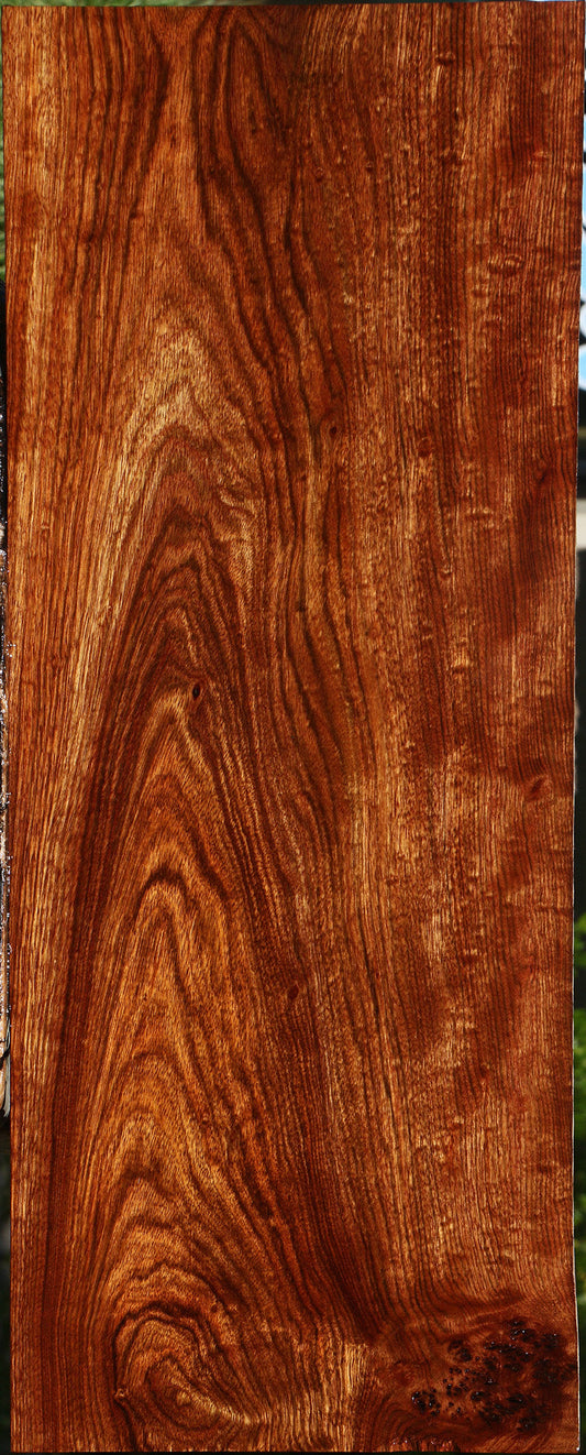 Extra Fancy Chechen Lumber