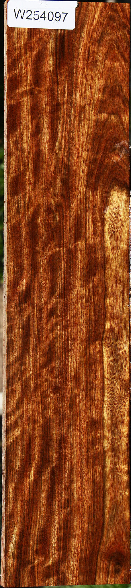 Extra Fancy Chechen Lumber