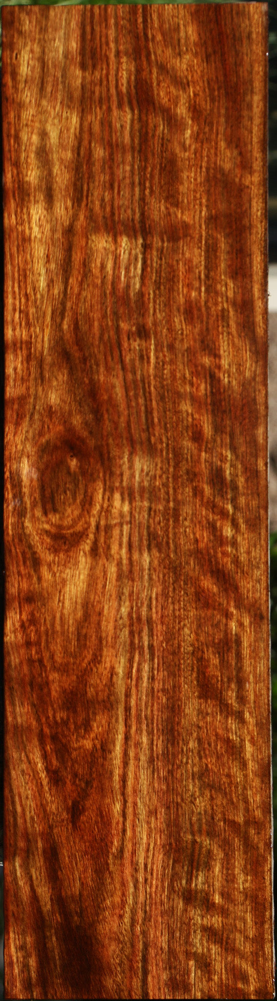 Extra Fancy Chechen Lumber