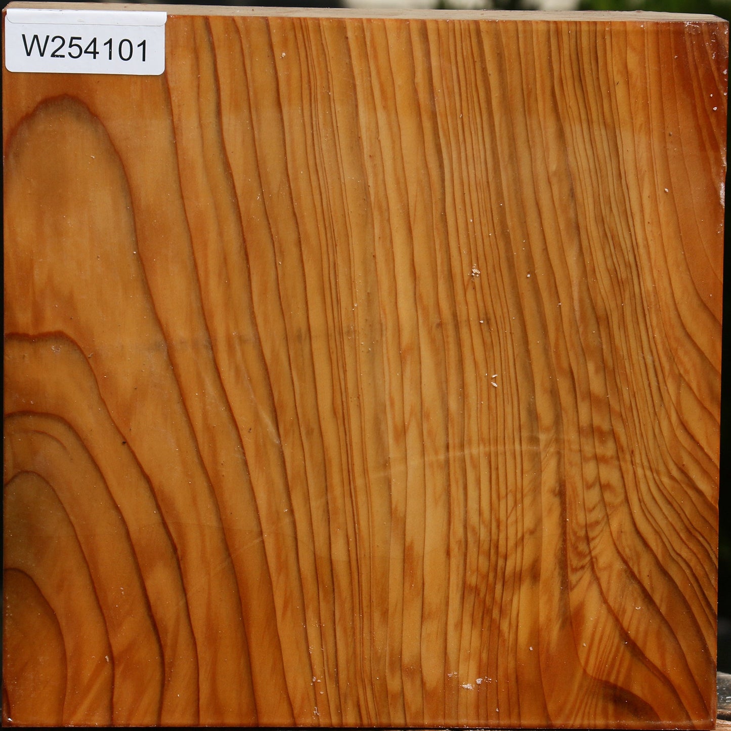 Cedar Of Lebanon Bowl Blank