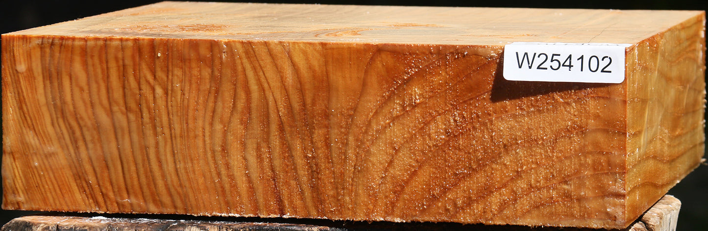 Cedar Of Lebanon Bowl Blank