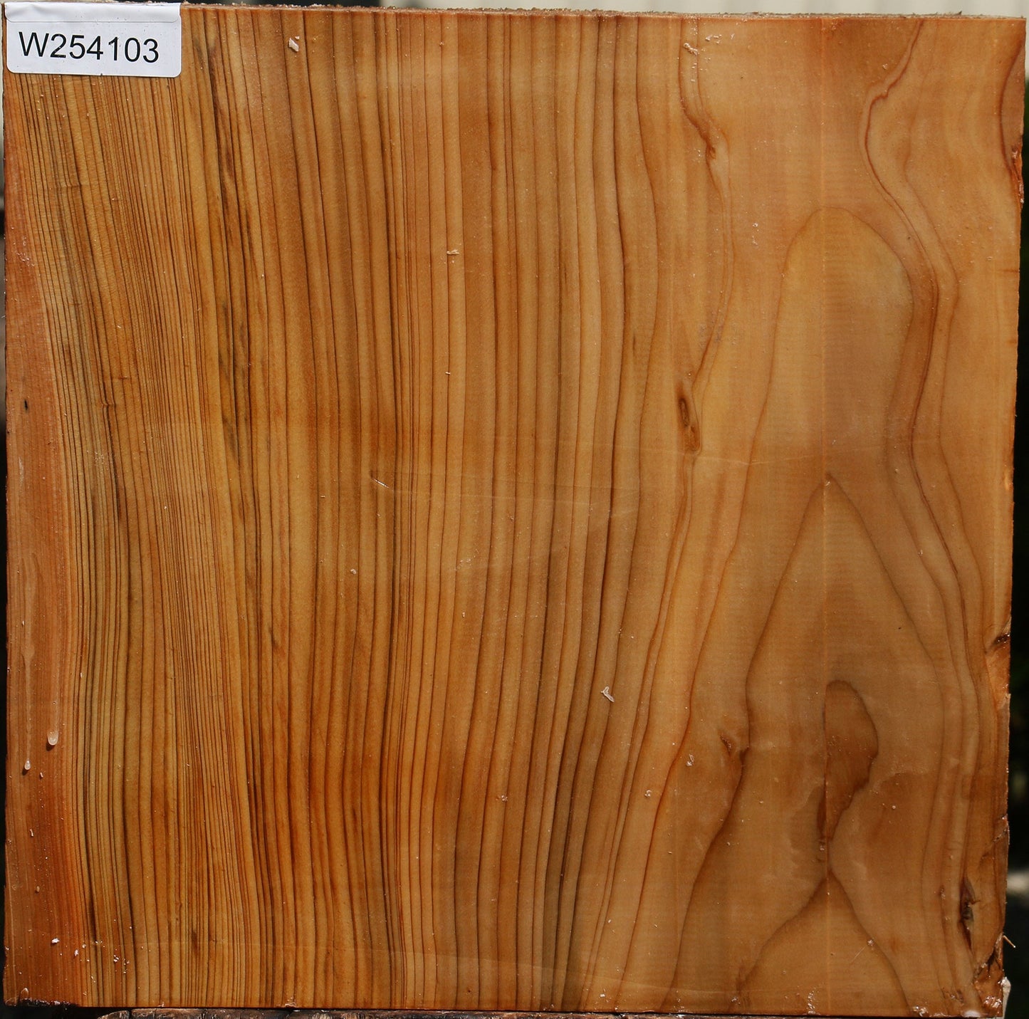 Cedar Of Lebanon Bowl Blank