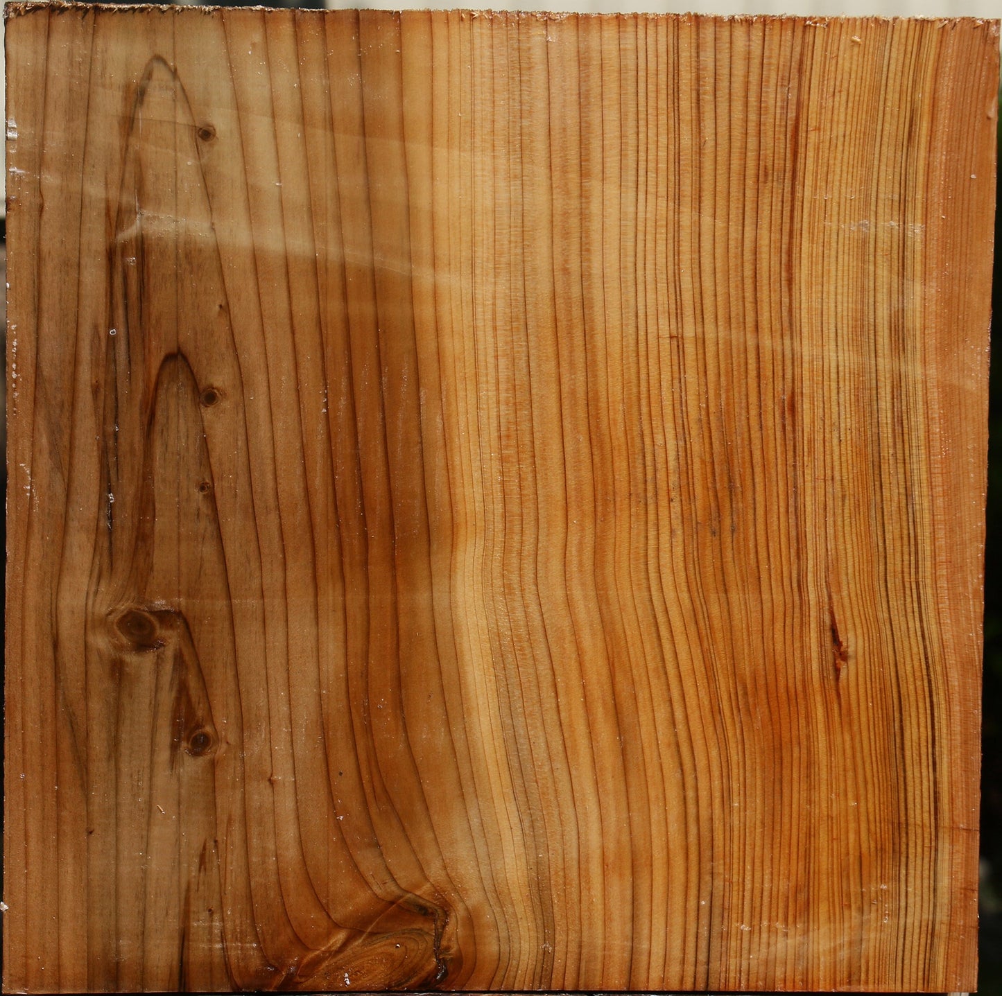 Cedar Of Lebanon Bowl Blank