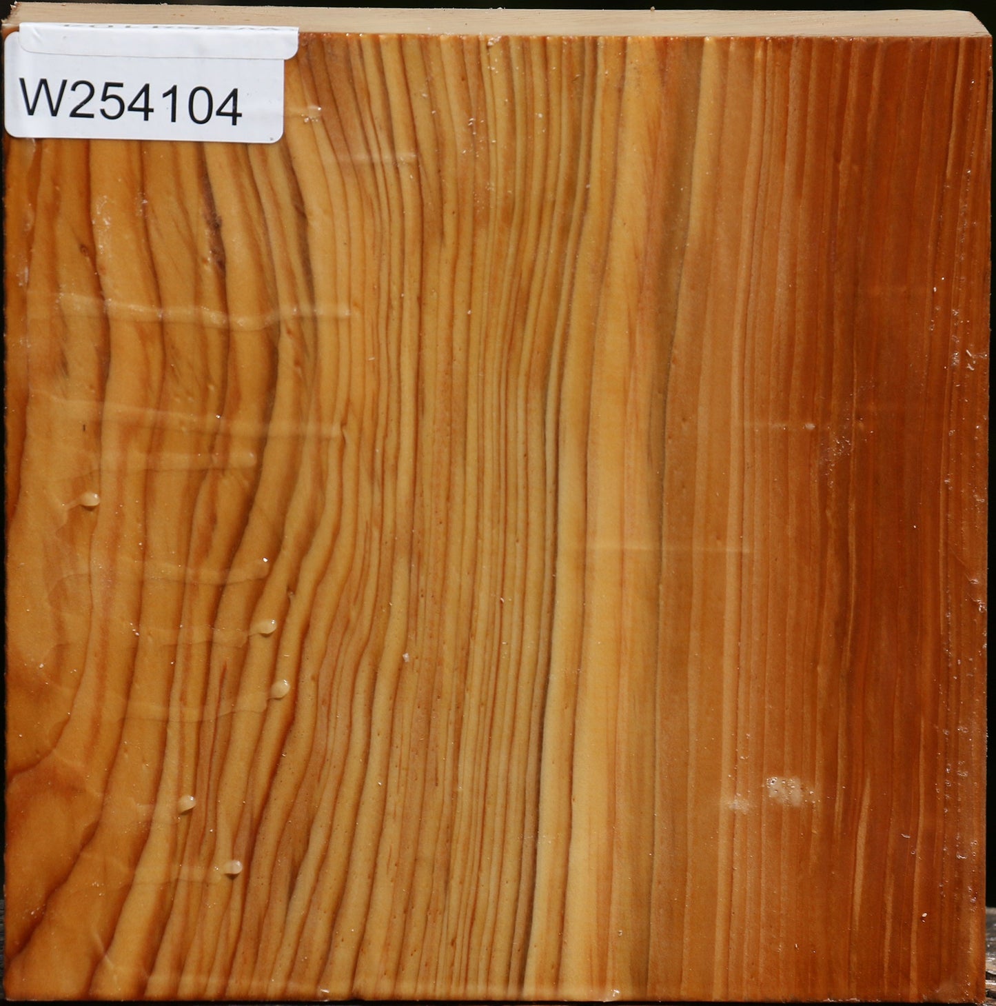 Cedar Of Lebanon Bowl Blank
