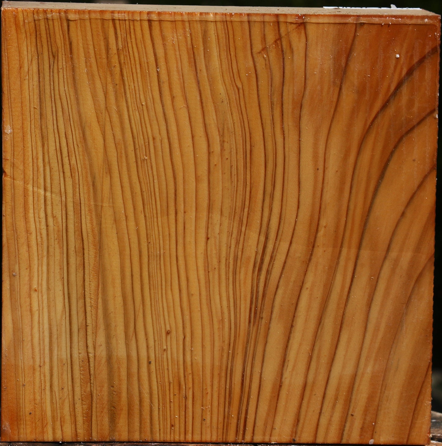 Cedar Of Lebanon Bowl Blank