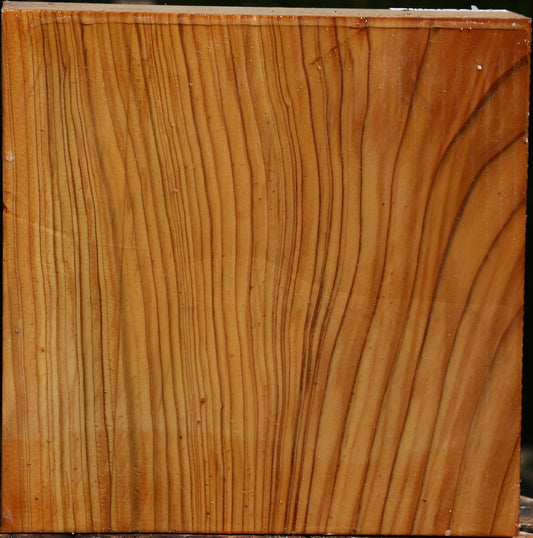 Cedar Of Lebanon Bowl Blank