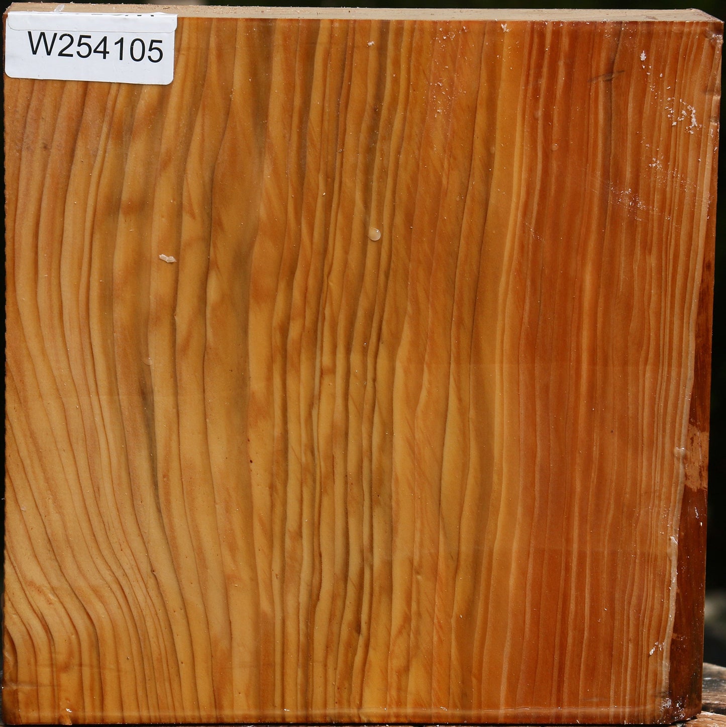 Cedar Of Lebanon Bowl Blank