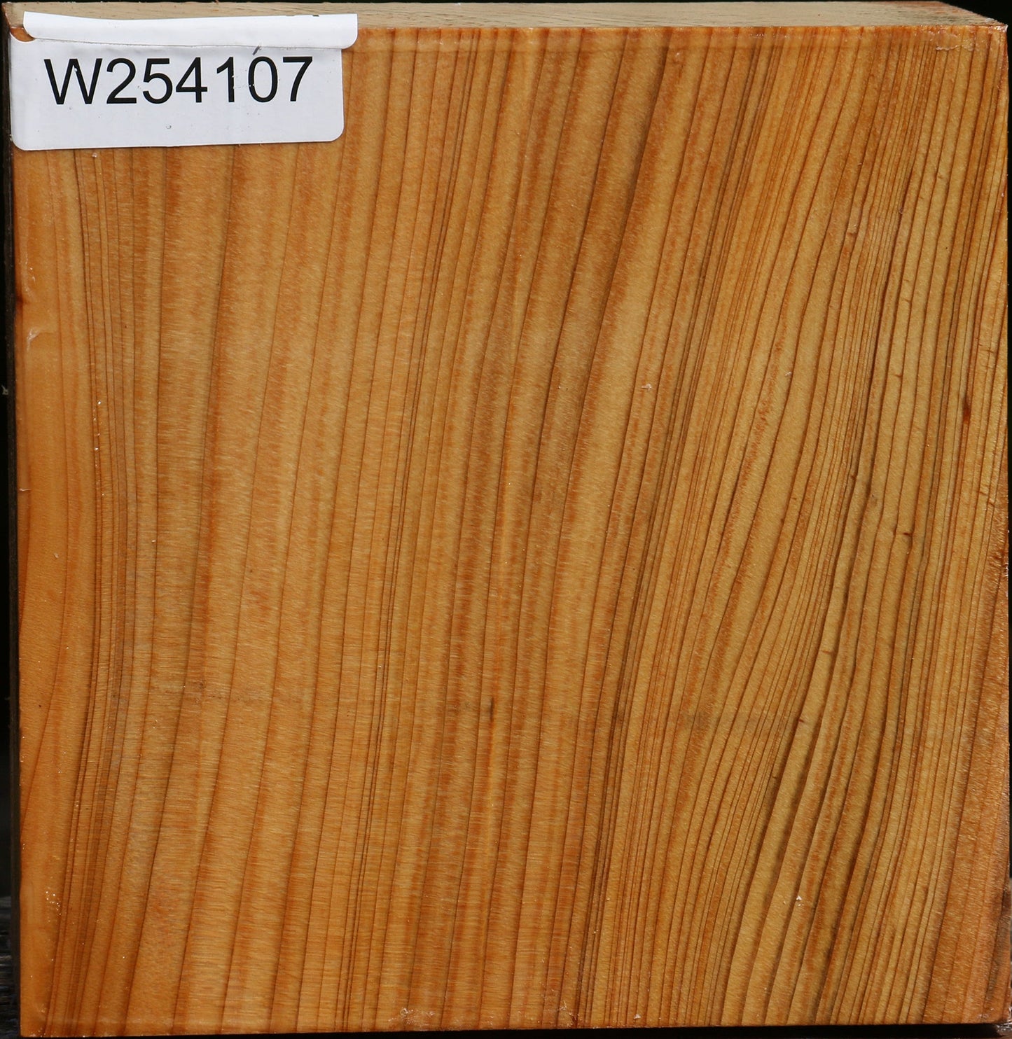 Cedar Of Lebanon Bowl Blank