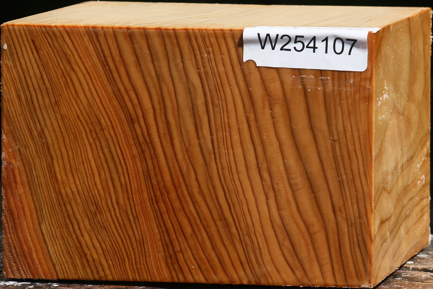 Cedar Of Lebanon Bowl Blank