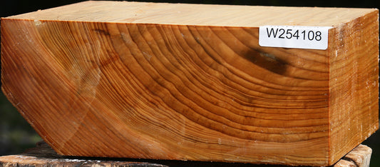 Cedar Of Lebanon Bowl Blank