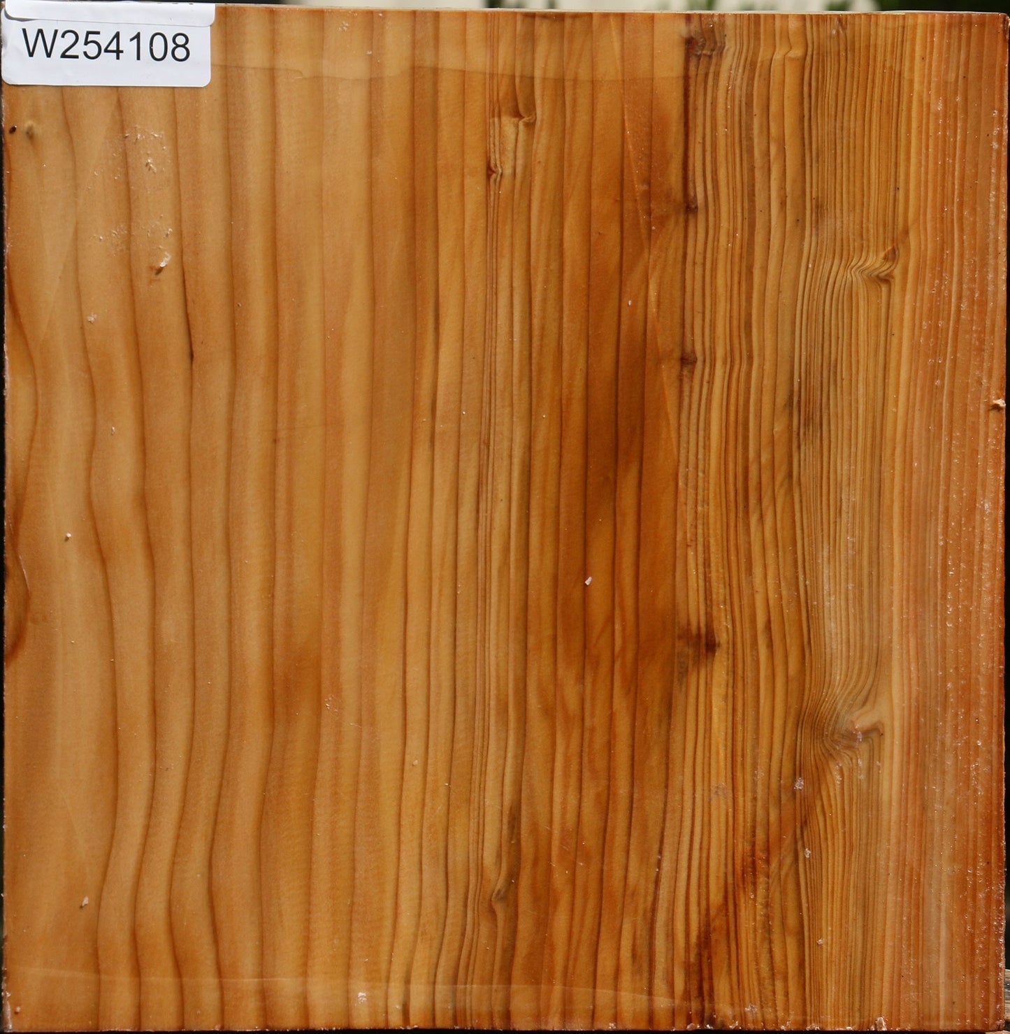 Cedar Of Lebanon Bowl Blank
