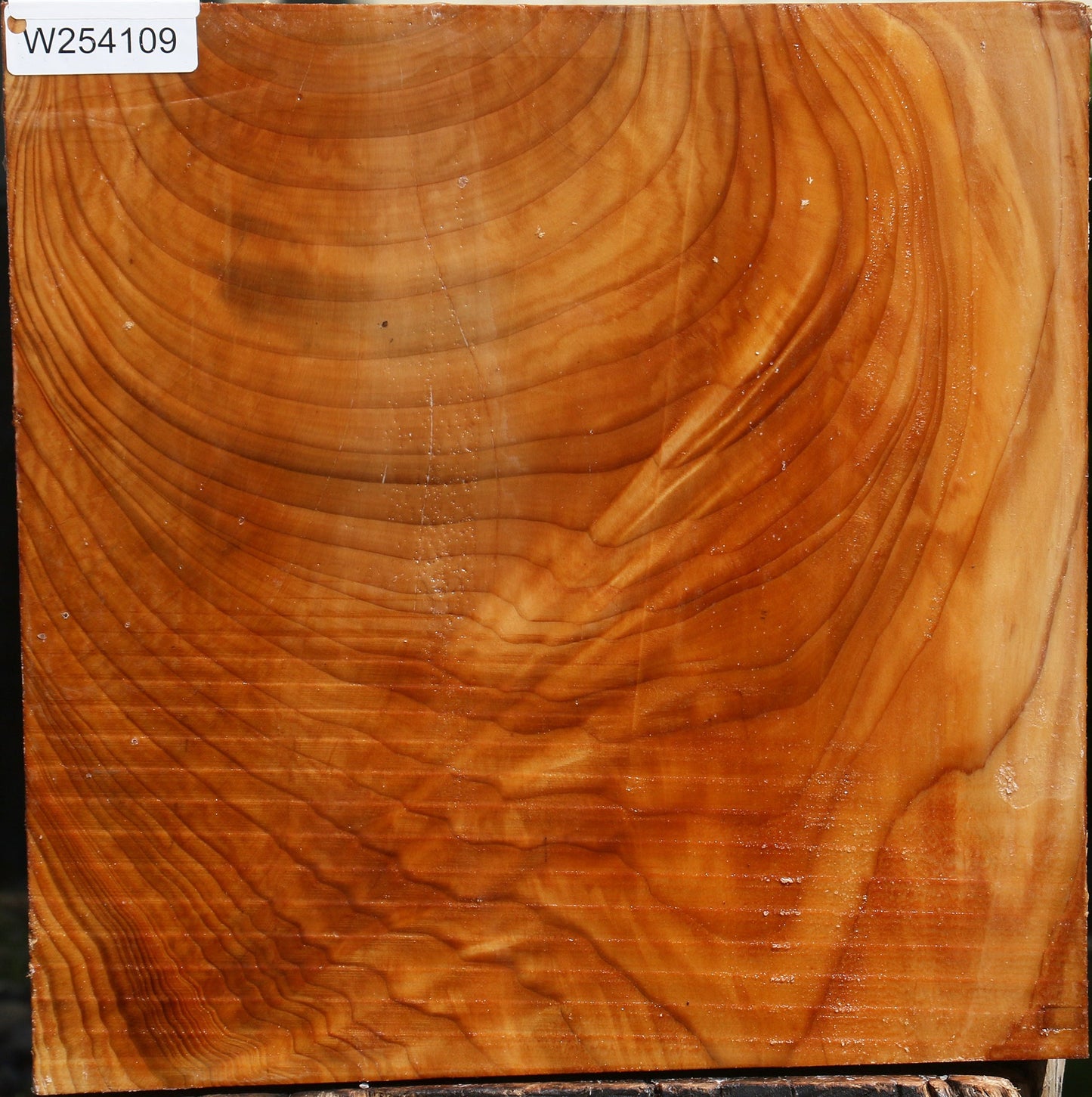 Figured Cedar Of Lebanon Bowl Blank