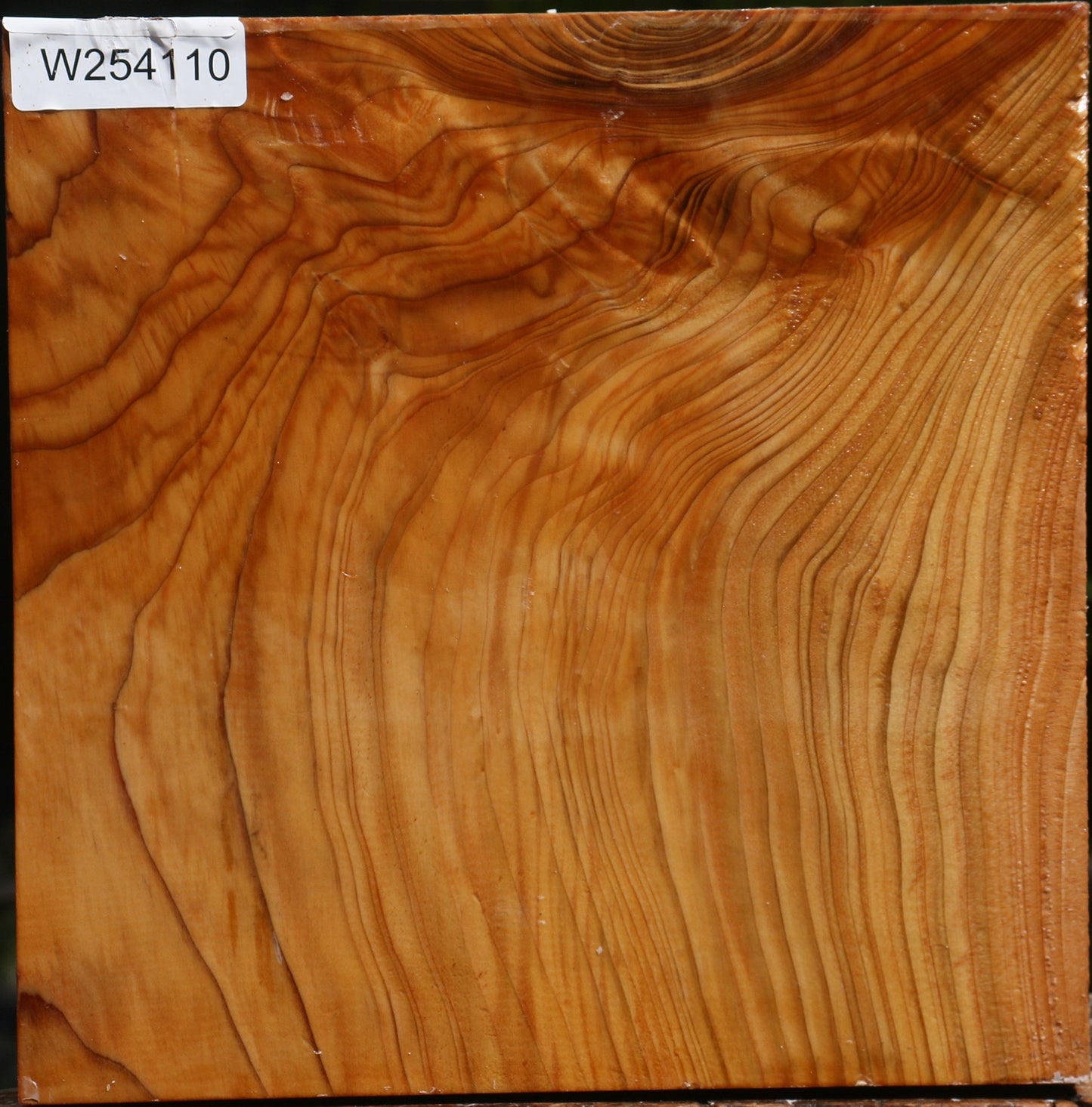 Figured Cedar Of Lebanon Bowl Blank