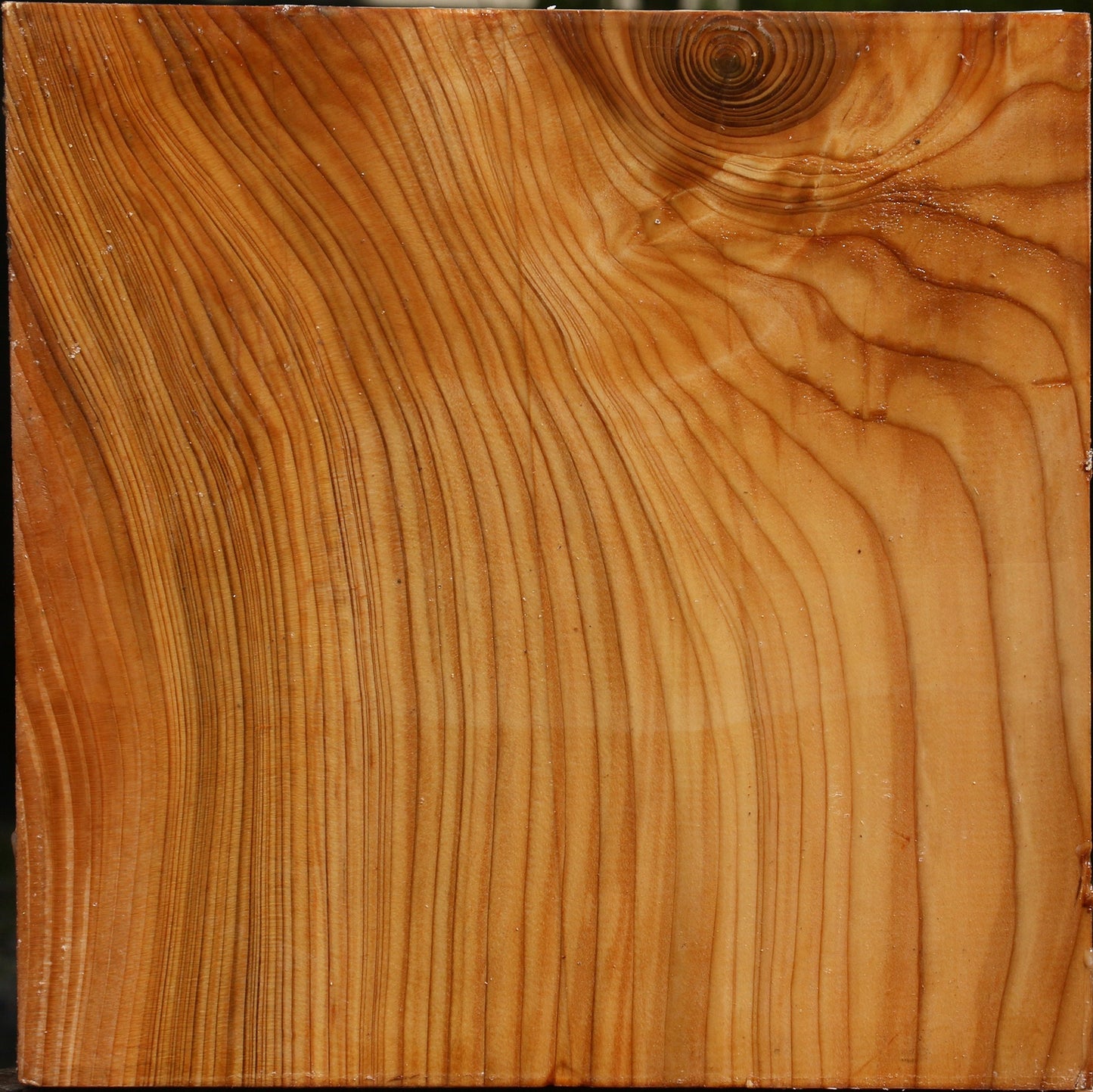 Figured Cedar Of Lebanon Bowl Blank
